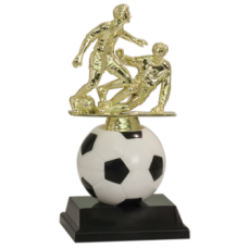 Soccer Ball Trophy